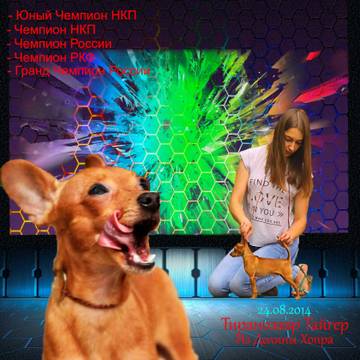 http://upforme.ru/uploads/0019/d1/b5/2/t758644.jpg