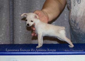 http://upforme.ru/uploads/0019/d1/b5/2/t77230.jpg