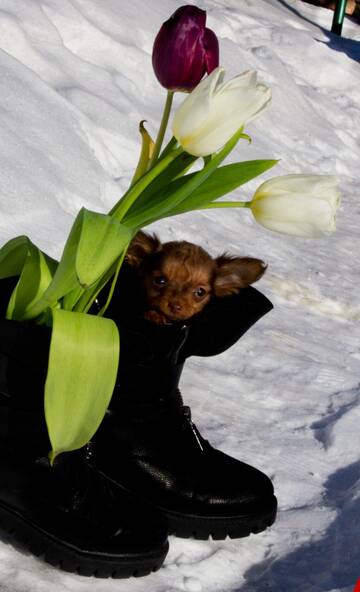 http://upforme.ru/uploads/0019/d1/b5/2/t772810.jpg