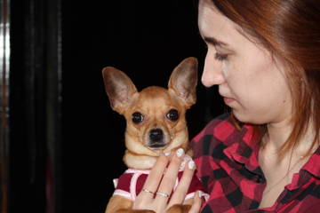 http://upforme.ru/uploads/0019/d1/b5/2/t79809.jpg
