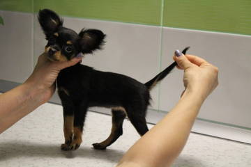 http://upforme.ru/uploads/0019/d1/b5/2/t79883.jpg