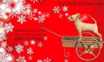 http://upforme.ru/uploads/0019/d1/b5/2/t80314.jpg