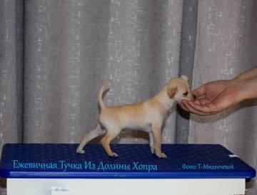 http://upforme.ru/uploads/0019/d1/b5/2/t827435.jpg