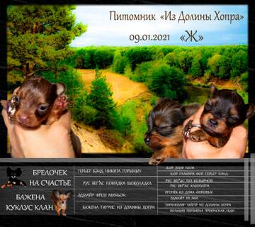 http://upforme.ru/uploads/0019/d1/b5/2/t898923.jpg