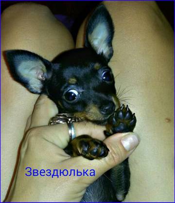 http://upforme.ru/uploads/0019/d1/b5/2/t931722.jpg