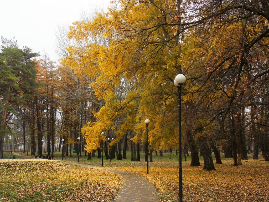http://upforme.ru/uploads/0019/d2/d8/244/728639.jpg