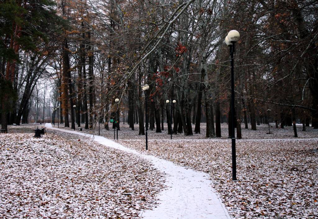 http://upforme.ru/uploads/0019/d2/d8/244/970042.jpg