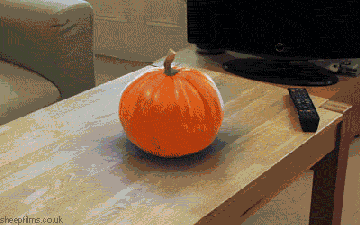 http://upforme.ru/uploads/0019/d5/11/2/31970.gif