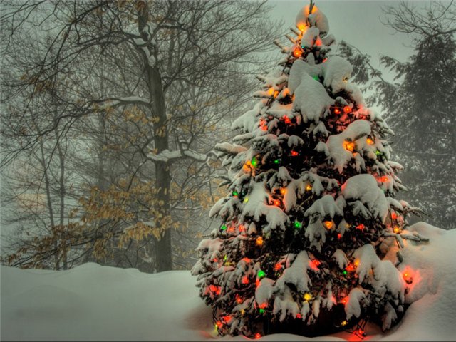 http://upforme.ru/uploads/0019/d5/11/2/36705.jpg