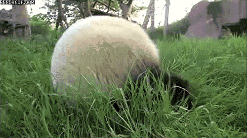 http://upforme.ru/uploads/0019/d5/11/2/54920.gif