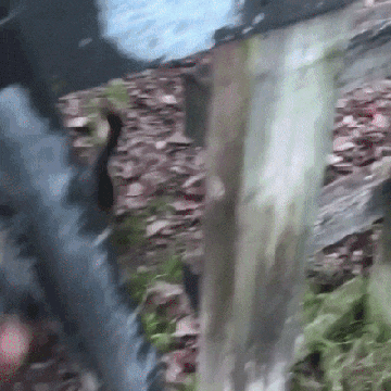 http://upforme.ru/uploads/0019/d5/11/2/67666.gif
