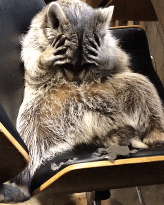 http://upforme.ru/uploads/0019/d5/11/2/95722.gif