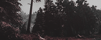 http://upforme.ru/uploads/0019/e7/78/1088/65332.png