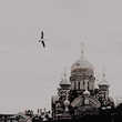 http://upforme.ru/uploads/0019/e7/78/1909/482805.png