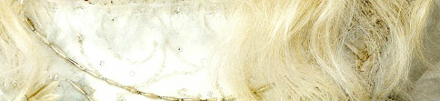 http://upforme.ru/uploads/0019/f2/49/63/60705.jpg