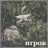 http://upforme.ru/uploads/0019/f2/dd/10/103166.png