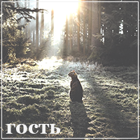 http://upforme.ru/uploads/0019/f2/dd/10/794764.png