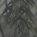 http://upforme.ru/uploads/0019/f3/4b/11/26089.png