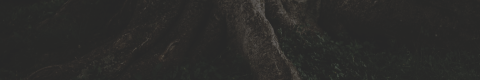 http://upforme.ru/uploads/0019/f3/4b/11/35344.png