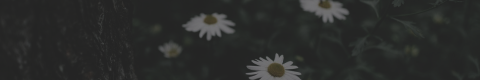 http://upforme.ru/uploads/0019/f3/4b/11/61057.png