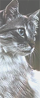 http://upforme.ru/uploads/0019/f3/4b/117/223971.png
