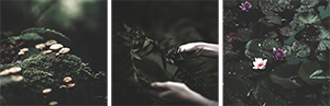 http://upforme.ru/uploads/0019/f3/4b/117/268214.png