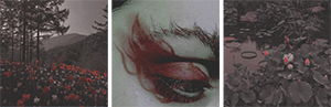 http://upforme.ru/uploads/0019/f3/4b/117/394127.png