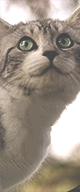 http://upforme.ru/uploads/0019/f3/4b/117/428119.png