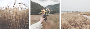 http://upforme.ru/uploads/0019/f3/4b/117/431399.png