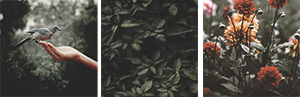 http://upforme.ru/uploads/0019/f3/4b/117/525104.png