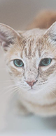 http://upforme.ru/uploads/0019/f3/4b/117/567844.png