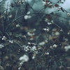 http://upforme.ru/uploads/0019/f3/4b/123/213271.jpg