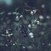 http://upforme.ru/uploads/0019/f3/4b/123/588134.jpg