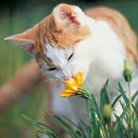 http://upforme.ru/uploads/0019/f3/4b/126/76403.jpg