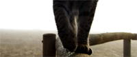 http://upforme.ru/uploads/0019/f3/4b/157/26778.png