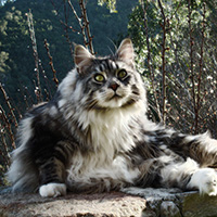 http://upforme.ru/uploads/0019/f3/4b/164/397313.jpg