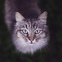 http://upforme.ru/uploads/0019/f3/4b/164/569716.jpg