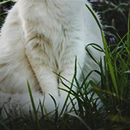 http://upforme.ru/uploads/0019/f3/4b/164/992298.jpg