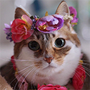 http://upforme.ru/uploads/0019/f3/4b/167/131659.png
