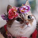 http://upforme.ru/uploads/0019/f3/4b/167/569969.png