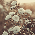 http://upforme.ru/uploads/0019/f3/4b/2/177452.png