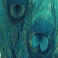 http://upforme.ru/uploads/0019/f3/4b/2/204488.png
