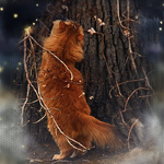 http://upforme.ru/uploads/0019/f3/4b/2/32399.png