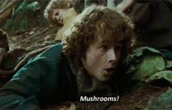 http://upforme.ru/uploads/0019/f3/4b/2/33725.gif