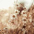 http://upforme.ru/uploads/0019/f3/4b/2/40223.png