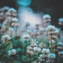 http://upforme.ru/uploads/0019/f3/4b/2/50826.jpg
