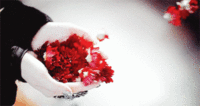http://upforme.ru/uploads/0019/f3/4b/2/76609.gif