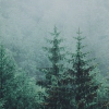 http://upforme.ru/uploads/0019/f3/4b/2/89272.png