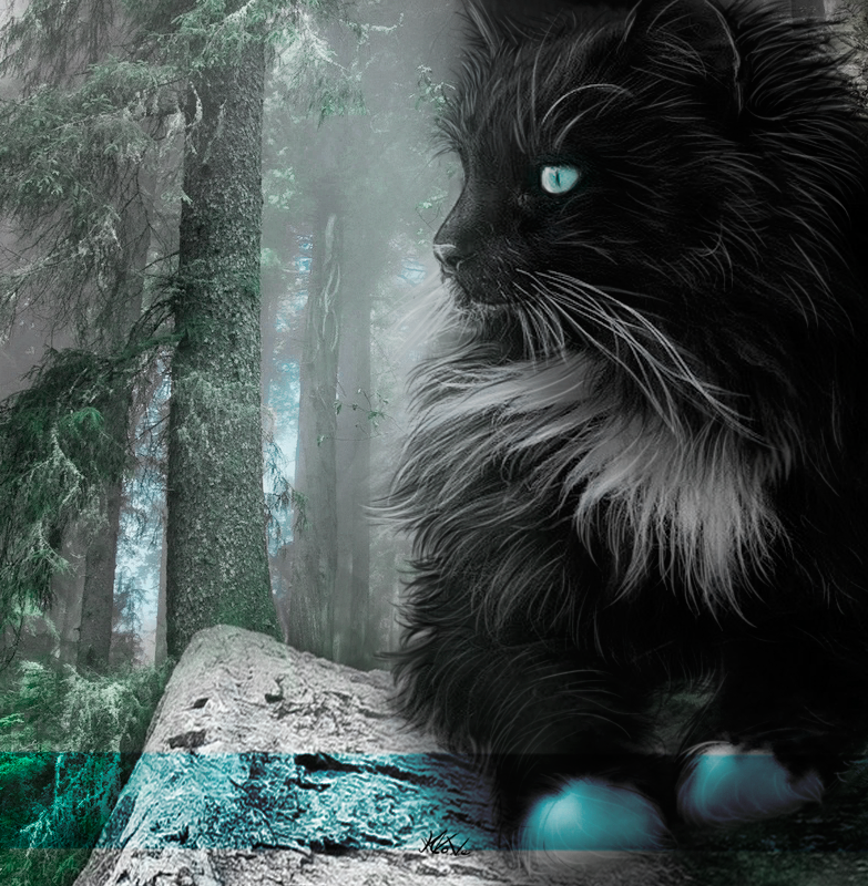 http://upforme.ru/uploads/0019/f3/4b/203/397935.png