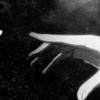 http://upforme.ru/uploads/0019/f3/4b/203/398873.gif